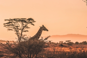 Top destinations in Kenya Top destinations in Kenya